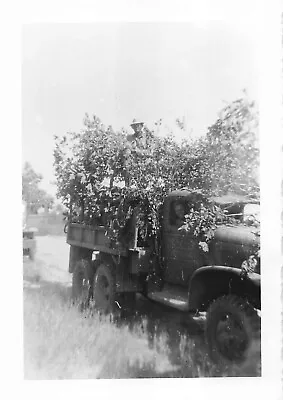 Vintage Photo US Army World War 2 Soldier In Camouflaged Truck 1944 WW2  • $19.50