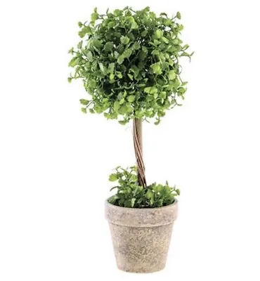 Rustic Farmhouse Decor Maiden Hair Fern Topiary 14  • $40