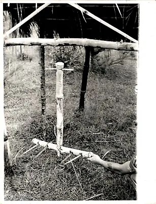 LG48 1965 Original Photo VIET CONG BOOBY TRAP SWINGING PUNJI STICKS VIETNAM WAR • $20