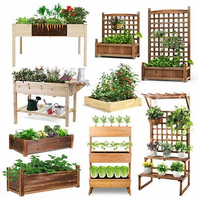 UK City Garden Raised Bed Elevated Flower Vegetable Grow Planter Box Seed Soil  • £35.97