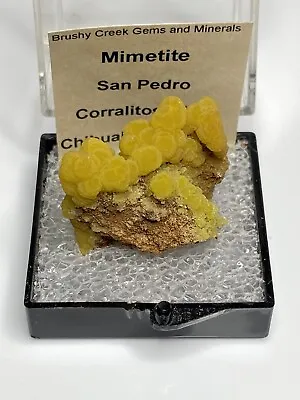 Fantastic Mimetite - San Pedro Corralitos Mine - Thumbnail • $160