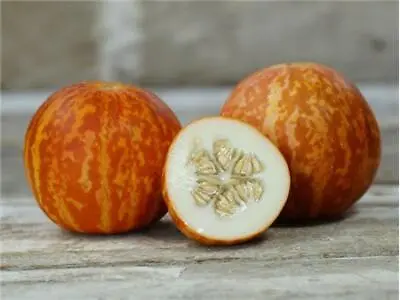 Tigger Melon Seeds Beautiful And Aromatic Organic NON-GMO FREE SHIPPING • $2.79
