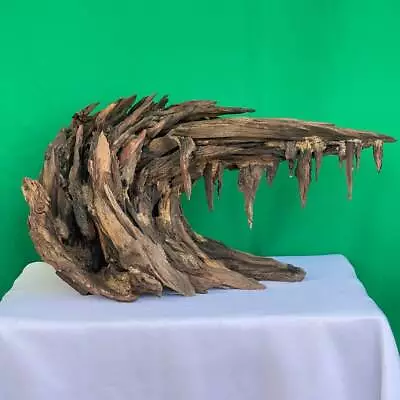 Drift Wood Aquarium Aquascape Bonsai Driftwood Real Fish Tank Decoration • $139