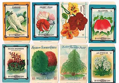 8 Vintage Seed Packet Lot Nos 1910s Flowers Garden General Store Larger Size D4 • £27.51