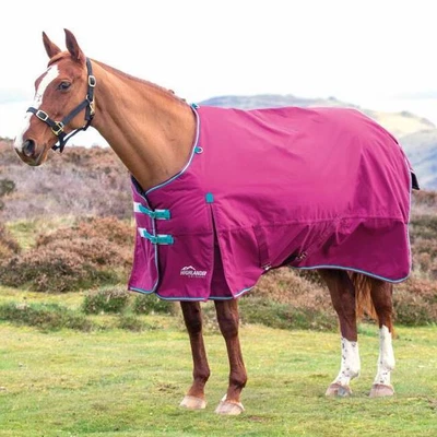 £46.60 • Buy Highlander Original 300 Turnout Rug