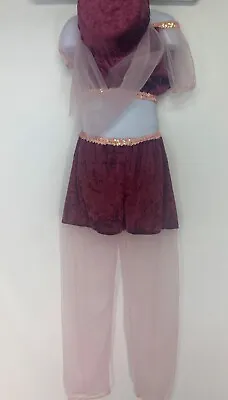 Small Miracles  Velvet Sequin I Dream Of Jeannie Vintage Halloween Costume  3-4 • $35
