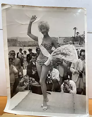 International News Photo Miss Cannes Festival 1958 Juliette Wilmo BIKINI PIN-UP • $4.99