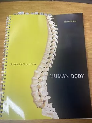 A Brief Atlas Of The Human Body - Spiral-bound By Hutchinson Matt - GOOD • $13