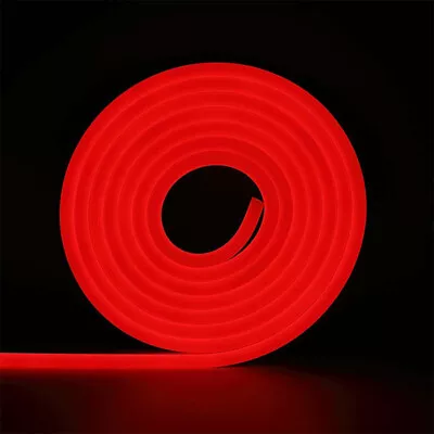 AU DC12V Flex LED Strip Silicone Rope Lights For Valentine Home Xmas Signs Decor • $164.68