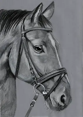 Original Artwork Art Picture Black & White Pencil Amazing Horse With Stripe Gift • £11.09