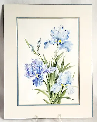 $45 • Buy Watercolor Painting 11 5/8 X 15  Irises Nancy Mayes '93 Double Matted 
