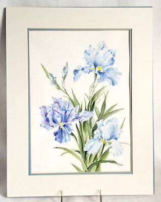 $45 • Buy Watercolor Painting 11 5/8 X 15  Irises Nancy Mayes '93 Double Matted 