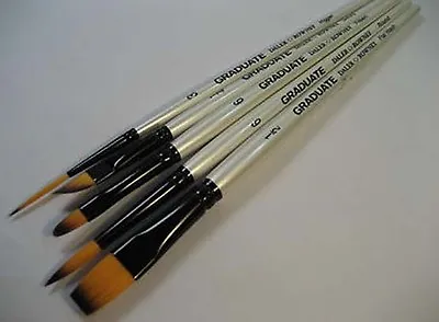 Daler Graduate Brush Set Round Flat Wash Rigger Angled Filbert - Watercolour • £14.99