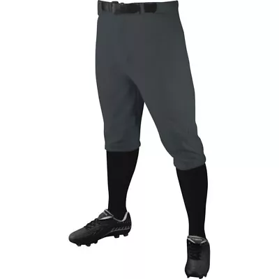 Champro Adult Triple Crown Knicker Baseball Pants GRAPHITE XL • $16.67