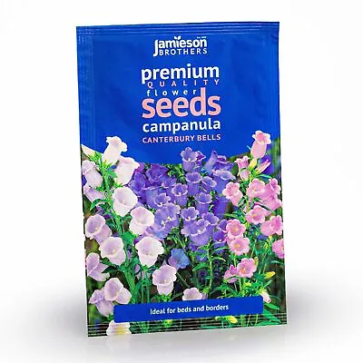 Campanula Canterbury Bells Mixed Flower Seeds (Approx. 895 Seeds) By Jamieson... • £2.79