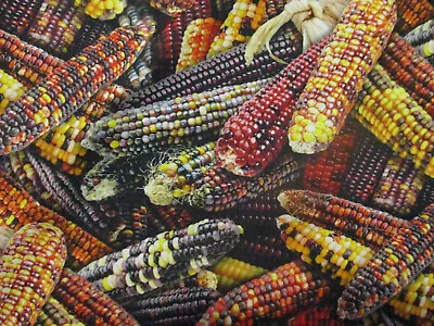 Indian Corn Cobb Husks Realistic Fall Decor Food Cotton Fabric FQ  • $3.99