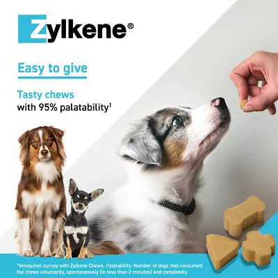 Zylkene Calming Chews For Medium Dogs 10-30kg • $38.08