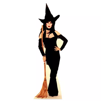 ELVIRA Witch Broom Mistress Of The Dark CARDBOARD CUTOUT Standup Standee Poster • $49.95