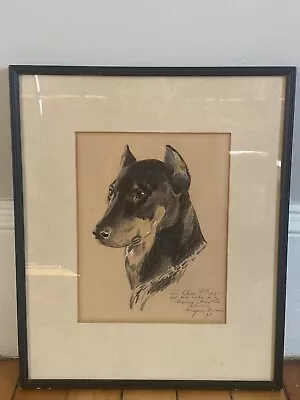 Morgan Dennis 1935 Original Pastel Crayon Drawing Doberman Pinscher Dog Signed • $525