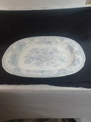 Antique T. Hughes Meat Platter Asiatic Pheasants • $101.77