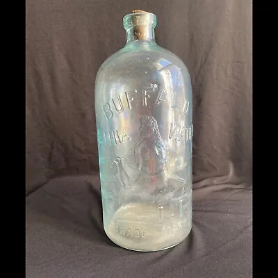 Antique Buffalo Mineral Springs Lithia Glass Corked Natural Medicine BOTTLE • $45