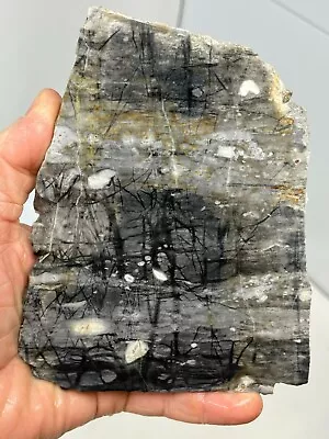 Picasso Marble (Jasper) Rough Slab For Cabbing Lapidary Carving Riki Chakra Utah • $24