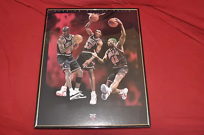 Chicago Bulls Running Of The Bulls Poster 1996 Jordan Pippen Rodman Framed 16x20 • $30