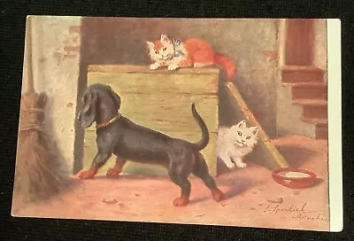 Dachshund Puppy Dog Playing With Cats Kittens Vintage Postcard Antique • $2.90