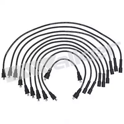 Spark Plug Wire Set-GAS Walker Products 924-1412 • $34.13