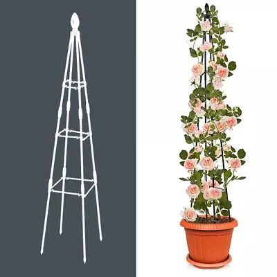 Indoor Climbing Plants Metal Garden Obelisk Strong Tubular Plant Cage Support • £10.34