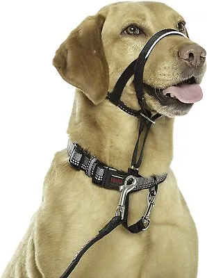 Dog Head Collar & Link. HALTI. Stops Pulling Pet Training. Black. Sizes 0-5 • £17.99