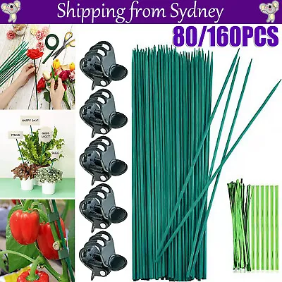 80/160PCS Orchid Supporting Plant Fixed Stake Clip Set Grow Upright Plant Stake • $15.98