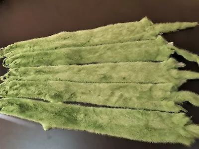 Real Green Mink Pelt Mink Pelts Green Mink Fur Green Mink Skin Mink Skins M • $110