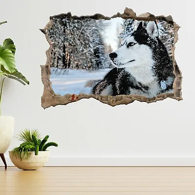 £18.99 • Buy Husky Dog In Snow 3d Smashed View Wall Sticker Poster Decal A78