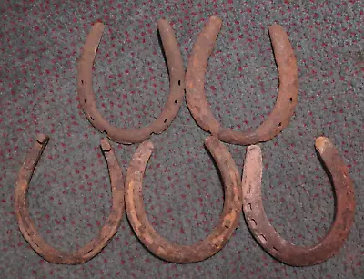$11.99 • Buy Lot Of 5 Old Rusty Horseshoes Found In Arizona Deserts Decades Ago