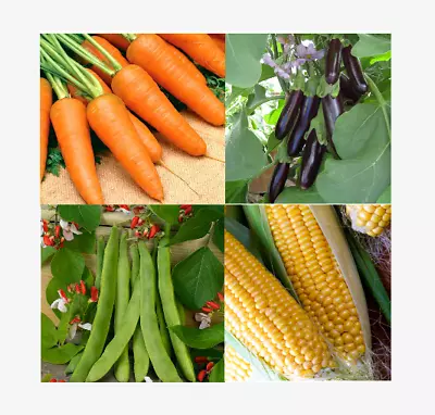 Vegetable Seeds - Large Variety - Grow Your Own - Free P & P - Up To 30% Off • £1.89