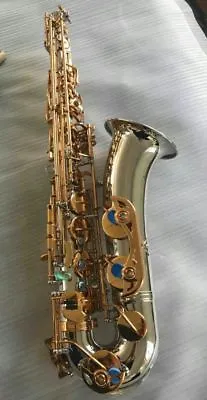 Professional C Melody Saxophone Gold Key Silver Body Free  Neck+case • $599
