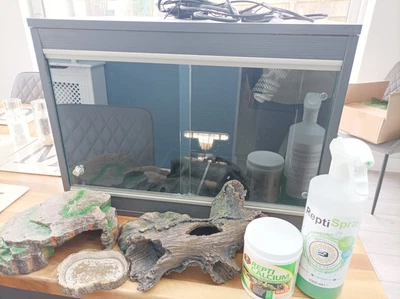 £100 • Buy Leopard Gecko Starter Kit Vivarium Bundle 58x38x43 Preloved Collect Basingstoke