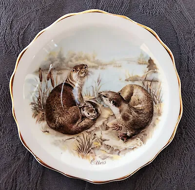 £6 • Buy THREE OTTERS Heritage Regency Bone China Collection. Small Dish.