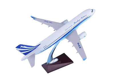 Himalayan  Air A320 Airbus Large Display Plane Model  Airplane Apx 37 Cm  Resin • $78