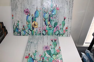 Canvas Wall Art 3 Pieces 12x16 In. Beautiful Cacti And Flowers Brand New Sealed • $24.99