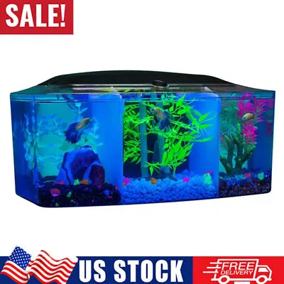 3 Gallon Betta Trilogy Aquarium Fish Tank W/ LED Lights And Filter Water Plastic • $115.49