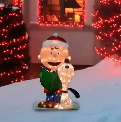 32  2D Lighted Charlie Brown & Snoopy Sculpture Christmas Yard Decoration • $93.95