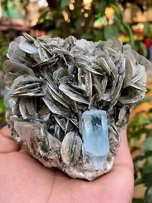 3225 CTS Beautiful Double Termination Aquamarine Crystal With Muscovite Specimen • $269.99