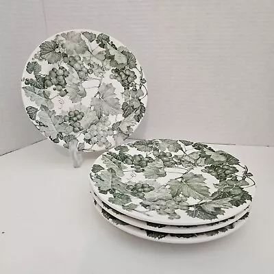 Set 4 Ceramica Quadrifoglio Green Grapes 7.75  Bread Dessert Plates Italy • $29.99