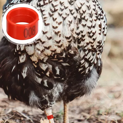 Poultry Leg Rings Chicken Foot Ring Plastic Tags Poultry Leg Bands Chicken Leg • £11.85