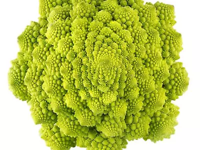 Broccoli Seeds  Romanesco  (Approx 200 Seeds)Unusual Garden Vegetable • $3.25