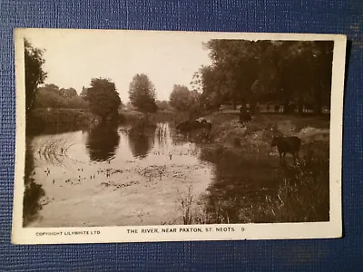 £1.20 • Buy St.Neots, The River Near Paxton, Posted 1919 Vintage Postcard