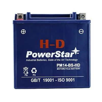 PowerStar H-D YTX14-BS Atv Battery For Yamaha YFM660R Rap-r 2001-2005 • $65.88