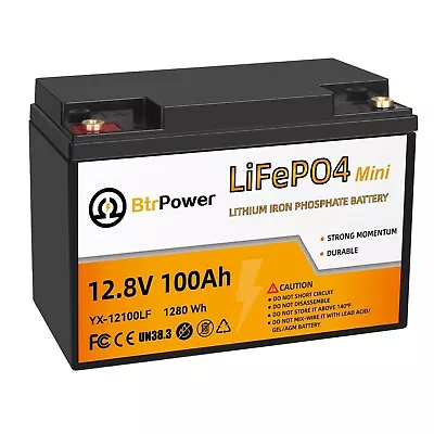 12V 100Ah LiFePO4 Lithium Iron Phosphate Battery For Deep RV Marine Solar System • $199.99